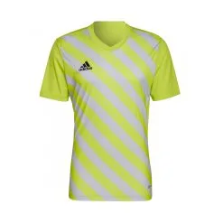 Camiseta Adidas Entrada 22 GFX M/c Niño