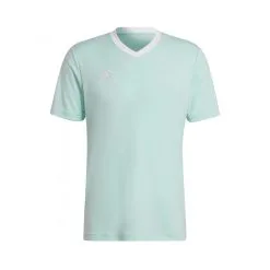Camiseta Adidas Entrada 22 M/c