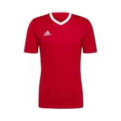 Camiseta Adidas Entrada 22 M/c