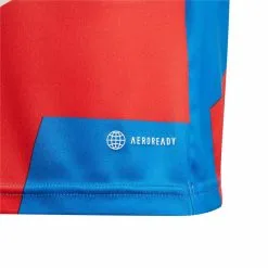 Camiseta Adidas FC Bayern De Múnich Pre-Match 2022-2023 Niño -tienda de material de futbol camiseta adidas fc bayern de munich pre match 2022 2023 nino red bright royal 4