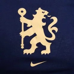 Camiseta Nike Chelsea FC Fanswear 2021-2022 Niño 8 Camiseta Nike Chelsea FC Fanswear 2021-2022 Niño -tienda de material de futbol camiseta nike chelsea fc fanswear 2021 2022 nino blackened blue 2