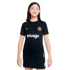Camiseta Nike Chelsea FC Training 2022-2023 Niño