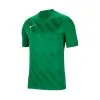 Camiseta Nike Dri-Fit Challenge III M/c Niño -tienda de material de futbol camiseta nike dri fit challenge iii mc nino pine green white 0