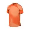 Camiseta Nike Gardien IV GK M/c