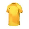 Camiseta Nike Gardien IV GK M/c