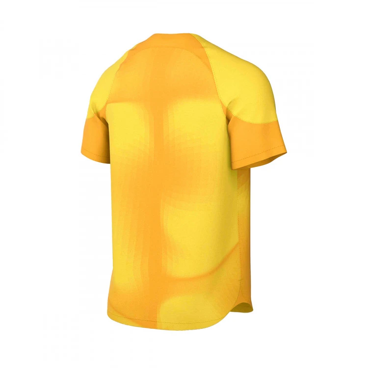 Camiseta Nike Gardien IV GK M/c 4 Camiseta Nike Gardien IV GK M/c - Imagen 2