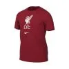 Camiseta Nike Liverpool FC Fanswear 2022-2023