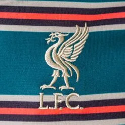 Camiseta Nike Liverpool FC Pre-Match 2021-2022 Niño -tienda de material de futbol camiseta nike liverpool fc pre match 2021 2022 nino dark atomic teal bright crimson 2