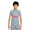 Camiseta Nike Liverpool FC Pre-Match 2022-2023 Niño -tienda de material de futbol camiseta nike liverpool fc pre match 2022 2023 nino wolf grey tough red 0