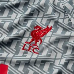 Camiseta Nike Liverpool FC Pre-Match 2022-2023 Niño -tienda de material de futbol camiseta nike liverpool fc pre match 2022 2023 nino wolf grey tough red 5
