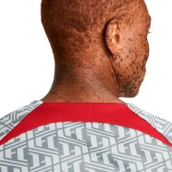 Camiseta Nike Liverpool FC Pre-Match 2022-2023 -tienda de material de futbol camiseta nike liverpool fc pre match 2022 2023 wolf grey tough red 4