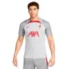 Camiseta Nike Liverpool FC Training 2022-2023