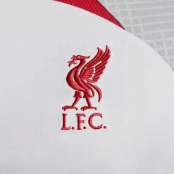 Camiseta Nike Liverpool FC Training 2022-2023 -tienda de material de futbol camiseta nike liverpool fc training 2022 2023 wolf grey smoke grey tough red full spon c 3