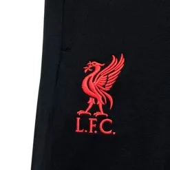Chándal Nike Liverpool FC Training 2022-2023 Niño 12 Chándal Nike Liverpool FC Training 2022-2023 Niño -tienda de material de futbol chandal nike liverpool fc training 2022 2023 nino black siren red 4