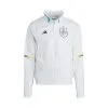 Chaqueta Adidas España Pre-Match Mundial Qatar 2022