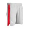 Pantalón Corto Castore Sevilla FC Training 2022-2023 -tienda de material de futbol pantalon corto castore sevilla fc training 2022 2023 quarry 0
