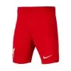 Pantalón Corto Nike Liverpool FC Primera Equipación 2023-2024 Niño -tienda de material de futbol pantalon corto nike liverpool fc primera equipacin 202324 nio gym red 0