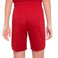 Pantalón Corto Nike Liverpool FC Primera Equipación Stadium 2022-2023 Niño 7 Pantalón Corto Nike Liverpool FC Primera Equipación Stadium 2022-2023 Niño -tienda de material de futbol pantalon corto nike liverpool fc primera equipacion stadium 2022 2023 nino tough red red 1