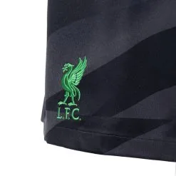 Pantalón Corto Nike Liverpool FC Primera Equipación Portero 2023-2024 -tienda de material de futbol pantalon corto nike liverpool fc primera equipacion stadium portero 2023 2024 anthracite 2