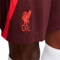 Pantalón Corto Nike Liverpool FC Training 2022-2023 -tienda de material de futbol pantalon corto nike liverpool fc training 2022 2023 burgundy crush siren red 2