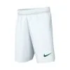 Pantalón Corto Nike Park III Knit 1 Pantalón Corto Nike Park III Knit -tienda de material de futbol pantalon corto nike park iii knit white pine green 0