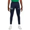 Pantalón Largo Nike Nigeria Training Mundial Qatar 2022