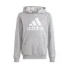Sudadera Adidas Essentials Big Logo Niño 1 Sudadera Adidas Essentials Big Logo Niño -tienda de material de futbol sudadera adidas essentials big logo nino medium grey heather white 0