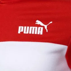 Sudadera Puma Essentials + Niño -tienda de material de futbol sudadera puma essentials nino burnt red 2